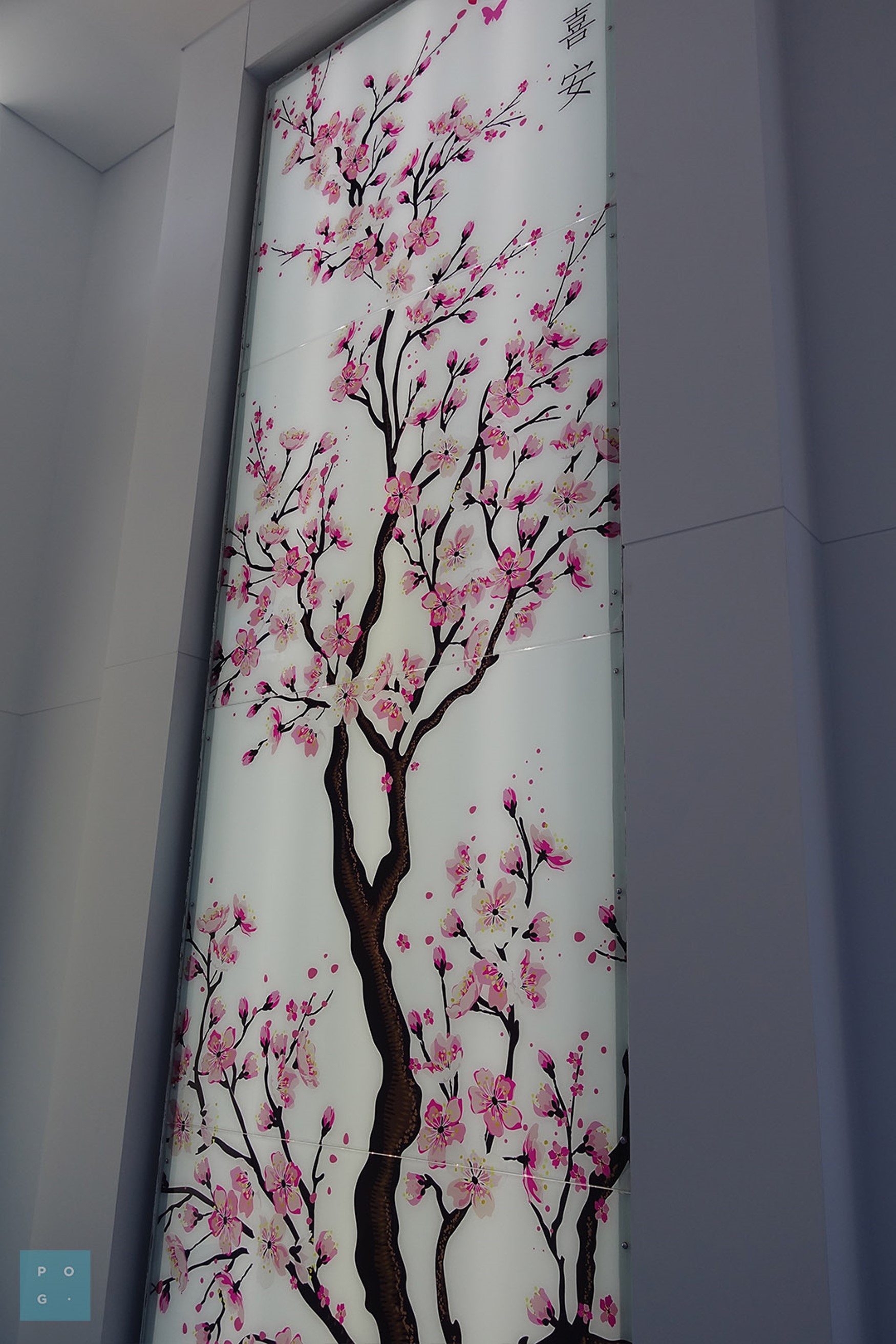 GLASS FEATURE WALLS 6